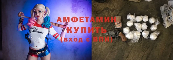 стафф Аркадак
