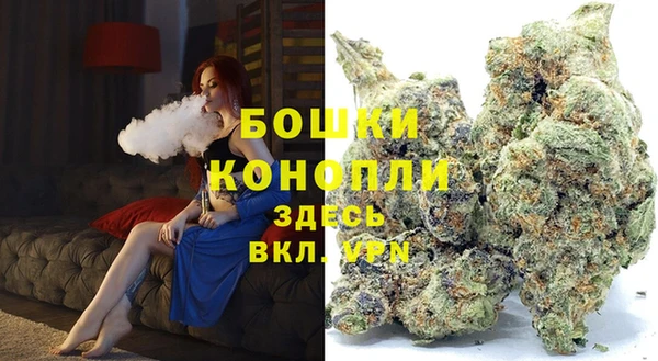стафф Аркадак