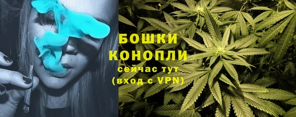 ALPHA PVP Арсеньев