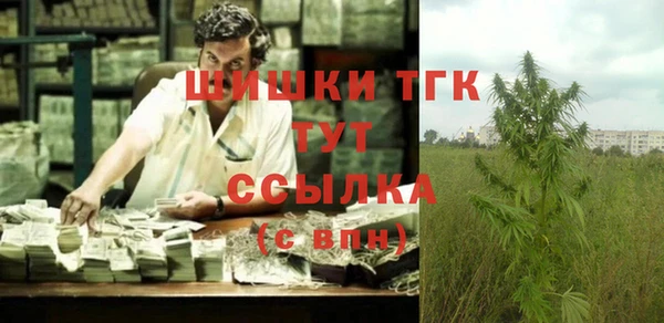 стафф Аркадак