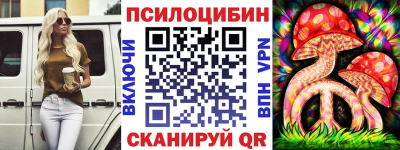 Псилоцибиновые грибы прущие грибы  Ахтубинск 