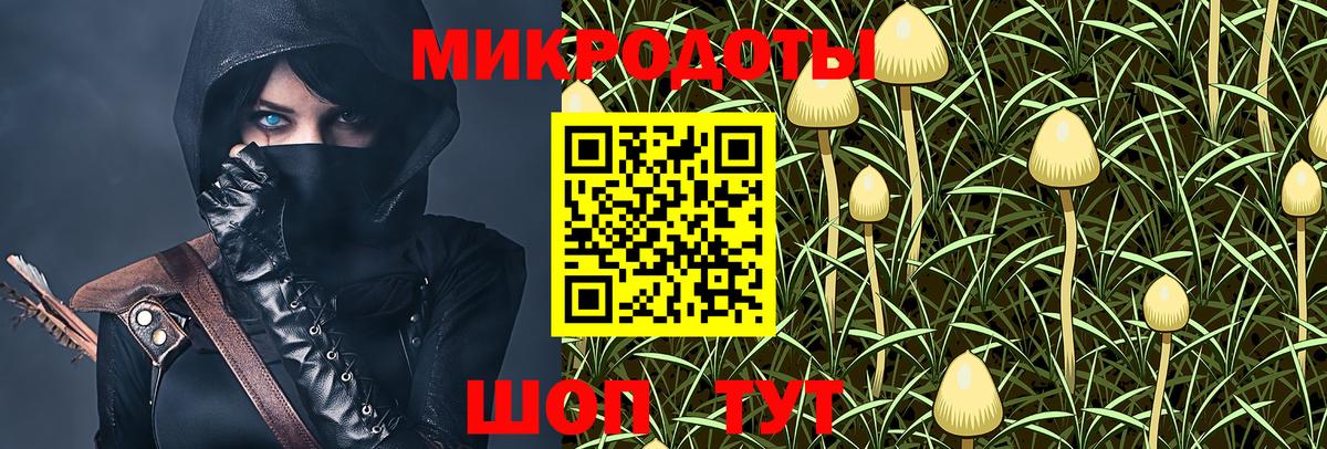 Ахтубинск  Псилоцибиновые грибы GOLDEN TEACHER  Вход с VPN 