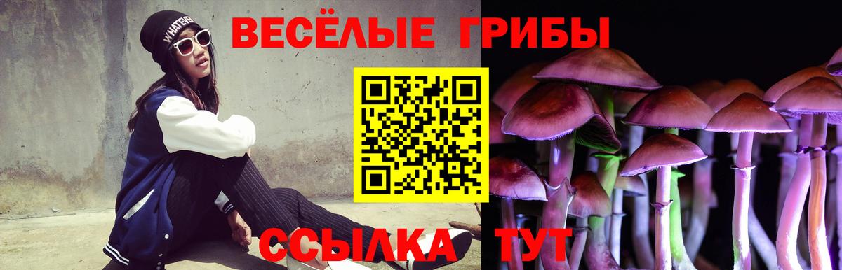 Галлюциногенные грибы ЛСД Ахтубинск